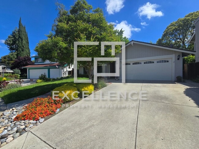 Building Photo - Beautiful 3/2 House - Dogs Negotiable, All New LVT Flooring, Covered Patio and Yard