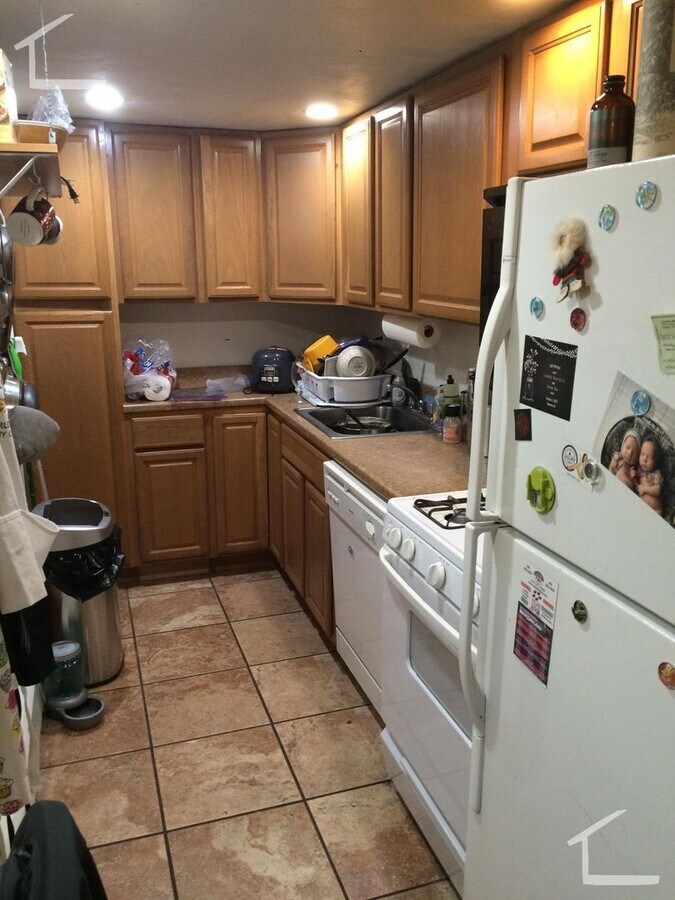 Large Garden Level Unit near T and Brookline Border. GREAT for BU students! Cat OK - Large Garden Level Unit near T and Brookline Border.  GREAT for BU students! Cat OK