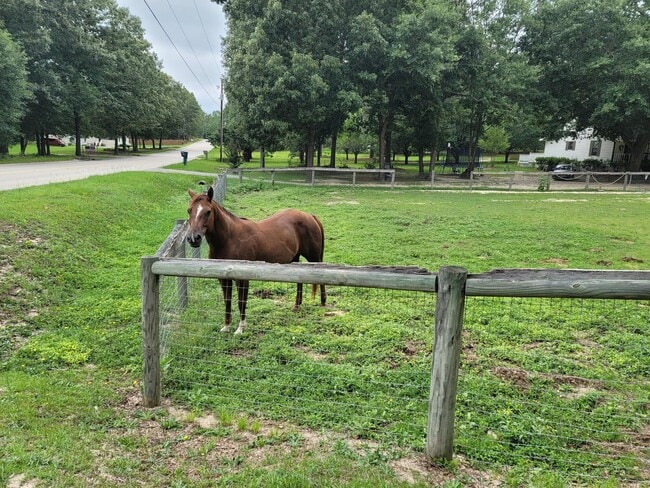 Photo - 331 Glenwood Dr