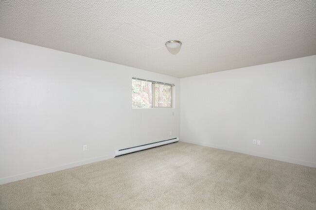 Photo - Timber Grove Apartments in Lynnwood, WA