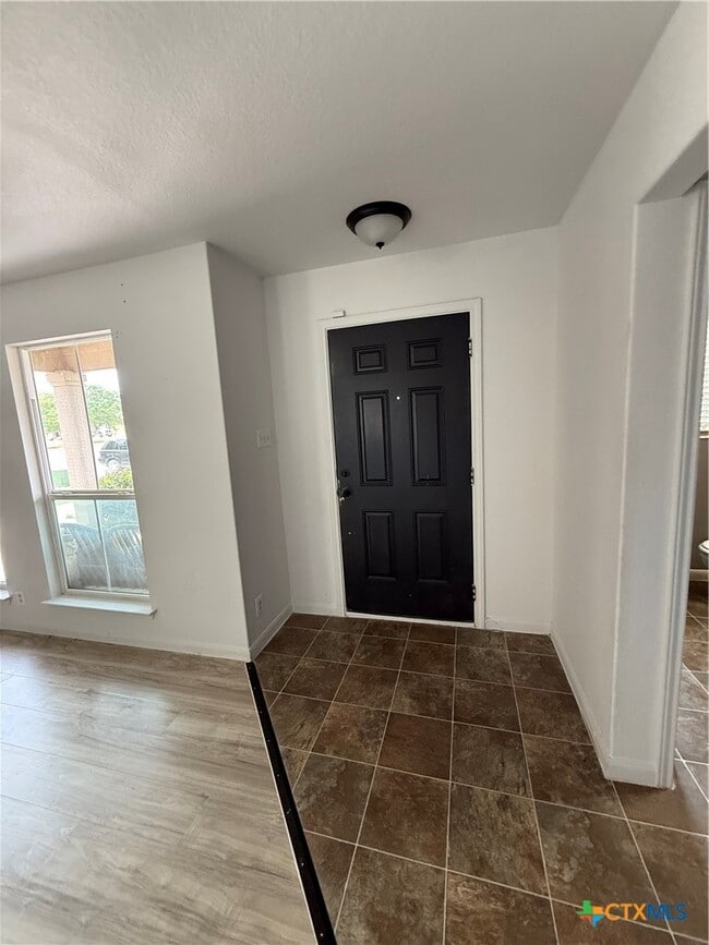 Photo - 426 Wind Gust