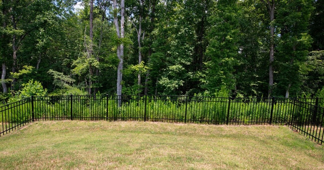 Photo - Chatteron Springs