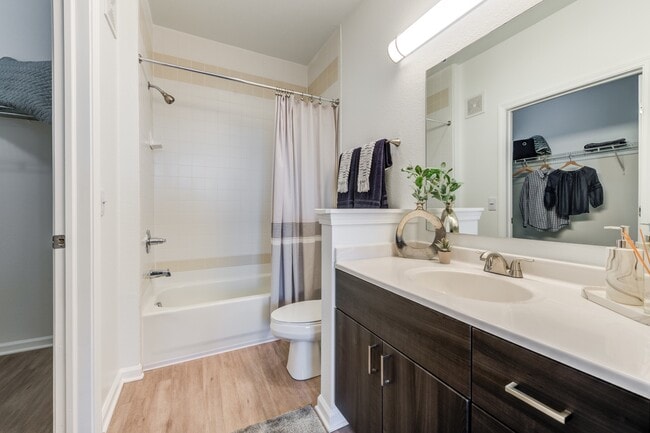Newly Renovated Bathroom with Walk-In Closet