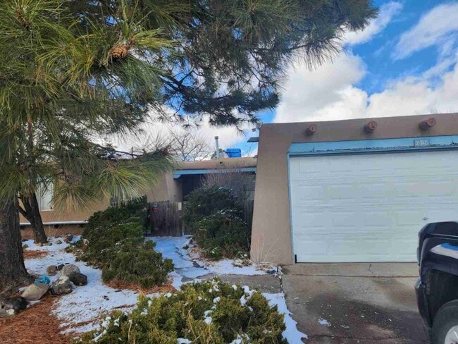 Building Photo - 2318 Calle Pacifico