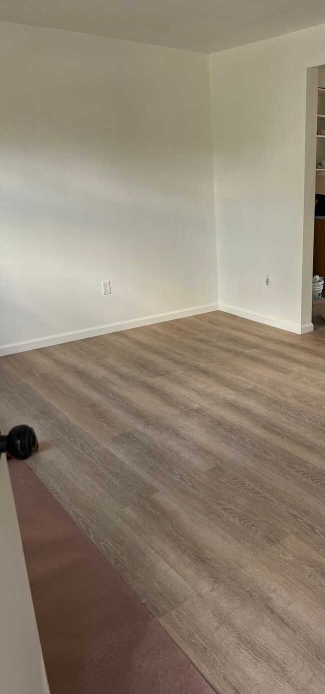 Living Room - 115 Ward St Unidad 1