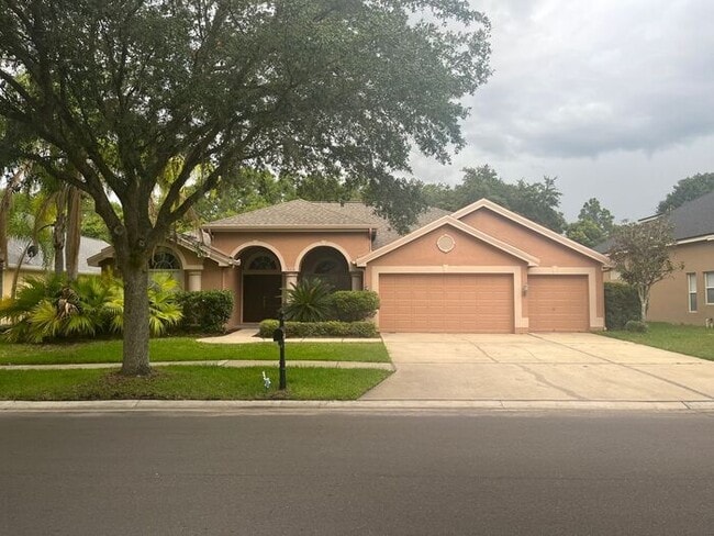 Building Photo - WEST MEADOWS - NEW TAMPA