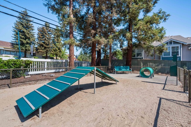 Community Dog Park