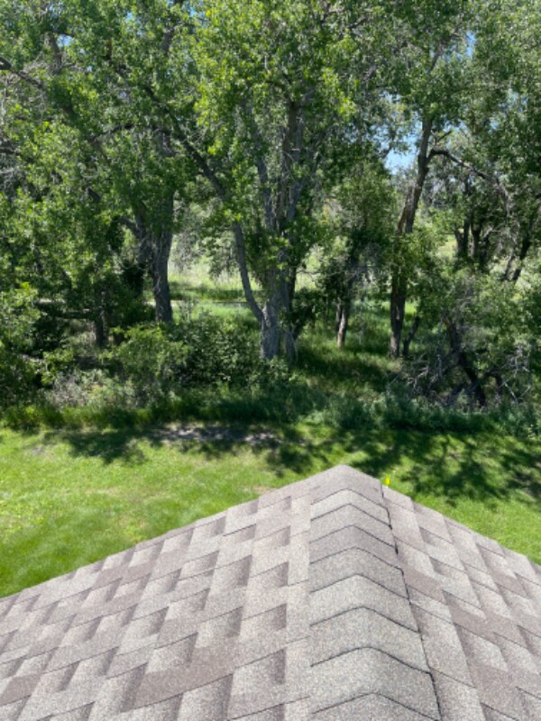 Photo - 10751 Twenty Mile Rd