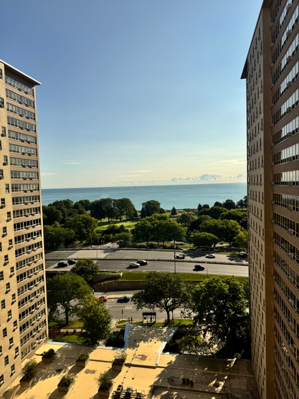 Building Photo - 3950 N Lake Shore Dr Unit 1518C Rental