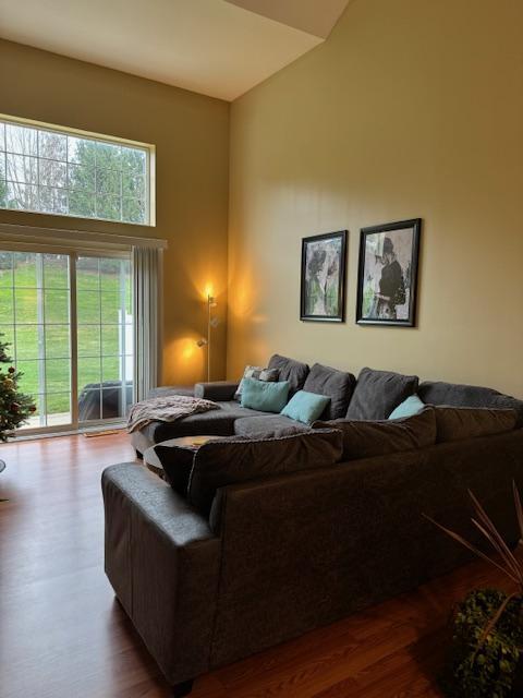 Photo - 29393 Hummingbird Cir