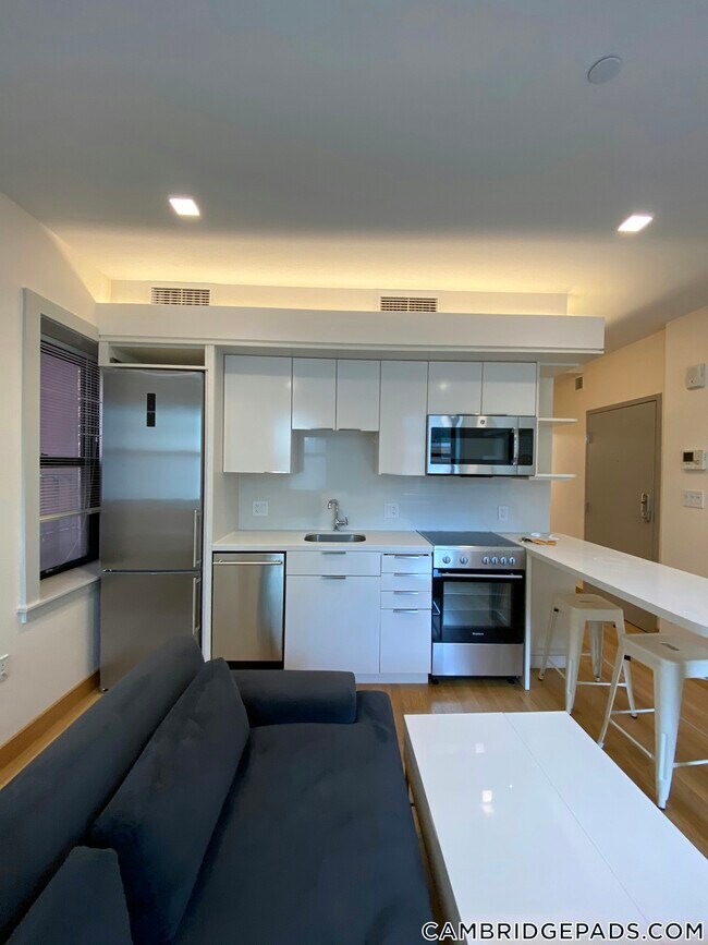 Photo - 115 Mt Auburn St Unidad 33