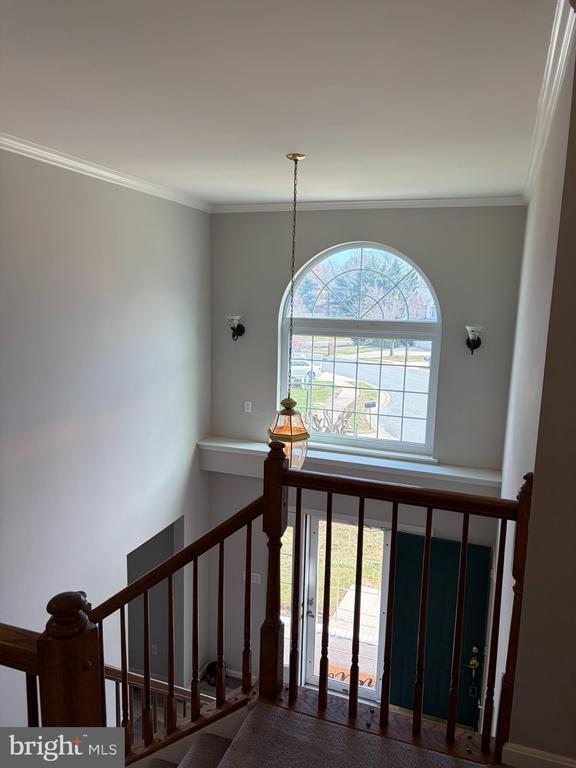 Photo - 506 Summervale Ct