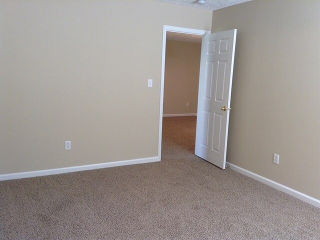 Photo - 2926 Limber Pine Dr