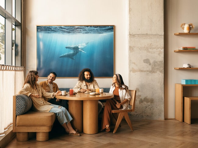 Flow Miami