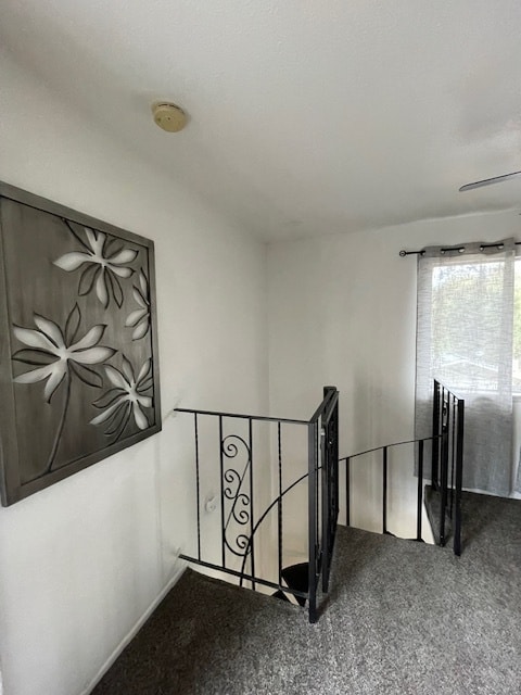 Photo - 40828 Goldside Dr