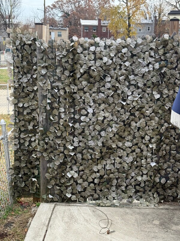 Photo - 1215 Savannah St SE