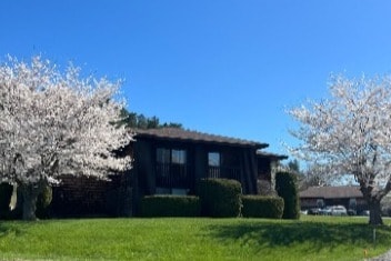 Springtime 3