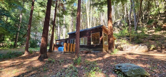 19901 Briceland Rd