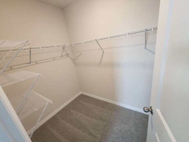 Photo - 18002 Canopy Pl