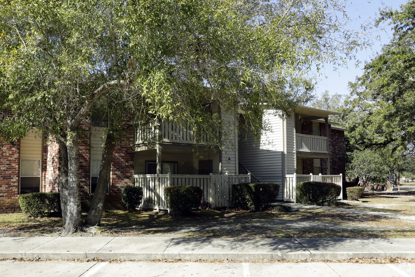 Pines on the Bay - Pines on the Bay Apartments