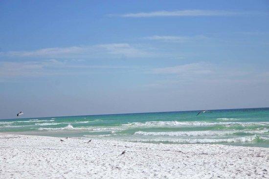 Photo - 200 Sandestin Ln Condo Unit 108