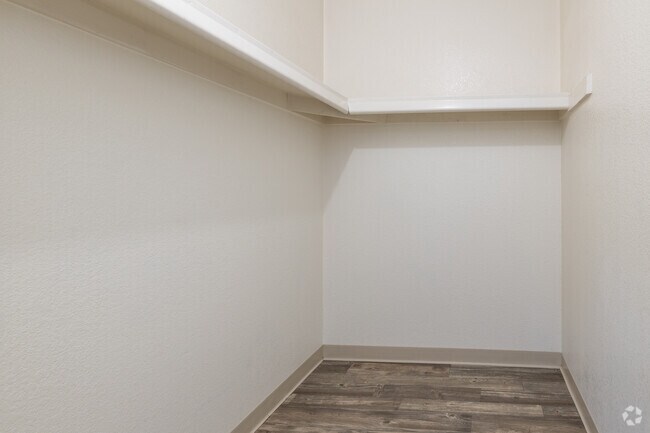 1BR, 1BA - 476SF - Walk In Closet