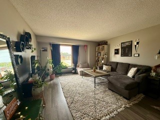 Spacious Living Room - 509 N 1st St Unit #201
