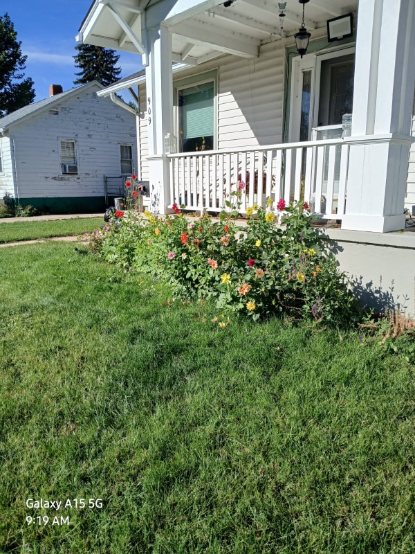 Building Photo - 909 Collyer St