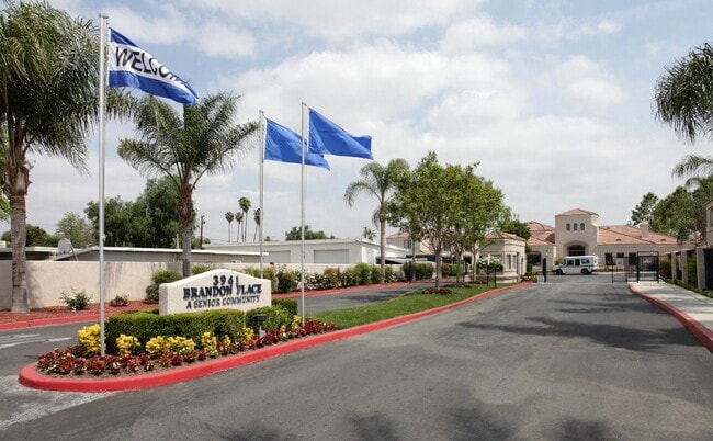 Photo - Brandon Place Senior