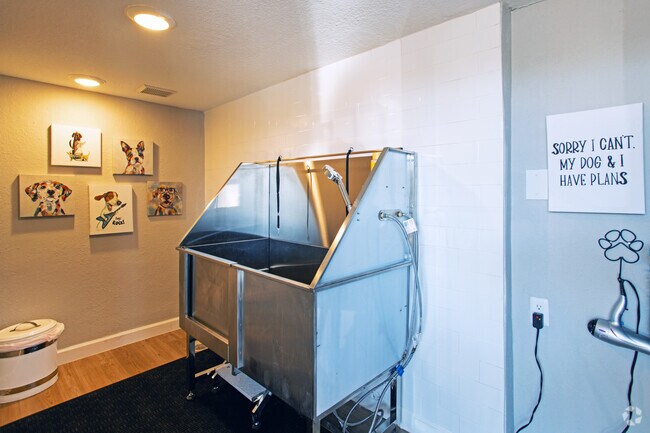 Photo - Stassney at SoCo