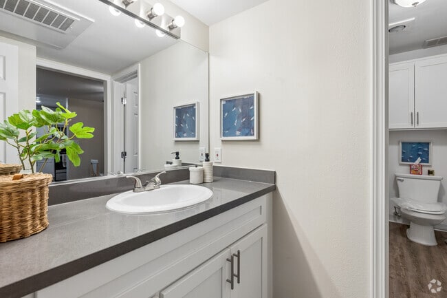 1BR, 1BA - 800SF - Bathroom