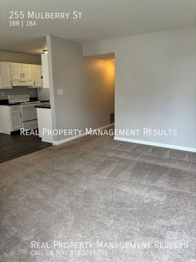 Photo - 255 Mulberry St