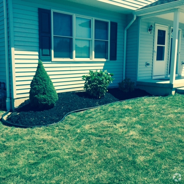 Pet-Friendly Rentals In West Seneca Ny - 1,396 Rentals | Forrent.Com