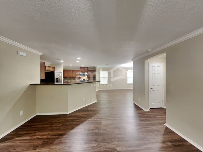 Photo - 9054 Canter Horse