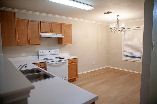 116 Pintail Dr