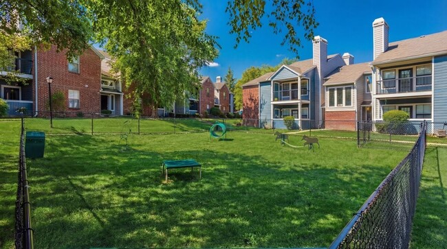 Pet-Friendly Perks at Timber Hollow Apartments