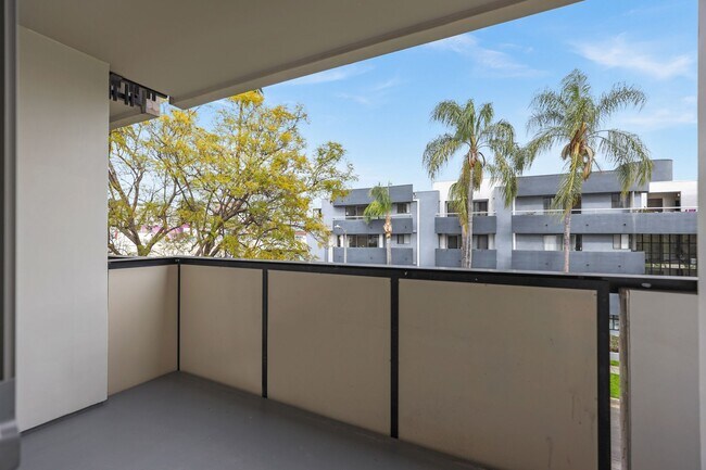 Photo - Poinsettia Sunset by Wiseman