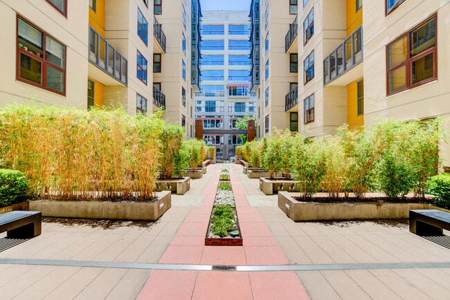 Garden entry - 1150 J St Unit #205