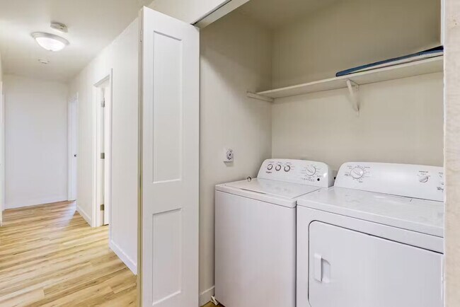 Photo - Arbol Grande