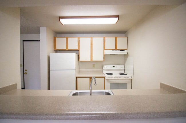 Willow Court Apartments