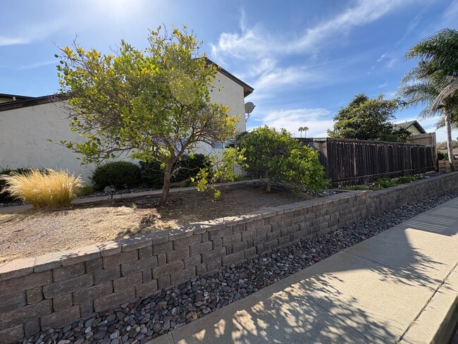 Photo - Excellent University City Corner Lot location 4bed 3bath with private-fenced rear yard and 2 car ...