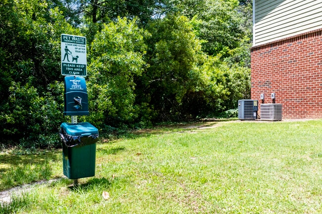 Pet Area