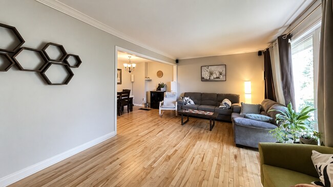 Photo - 24 Forestside Cres