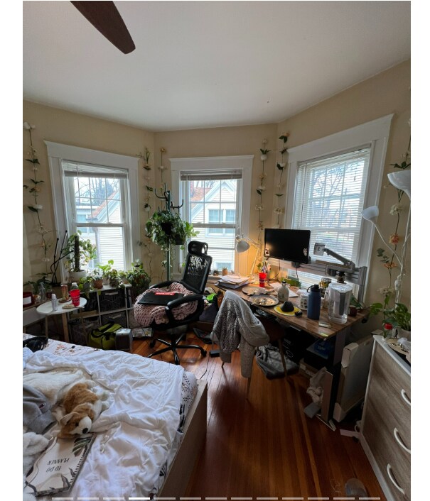 Photo - 332 Beacon St Unit 2