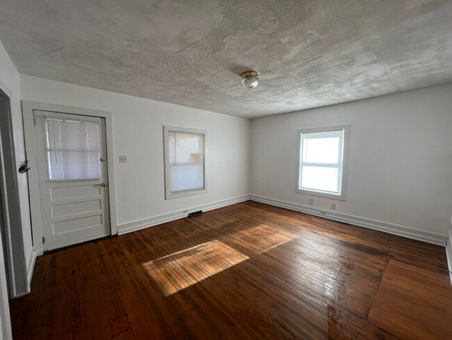 Photo - AVAILABLE TO SHOW!!!
