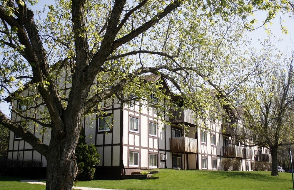 Olive Terrace Apartments - Olive Terrace Apartments