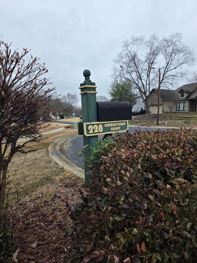 Photo - Gorgeous Home in Great Neighborhood