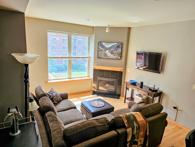 Living Room - 333 W Mifflin St Unit 9100 Rental