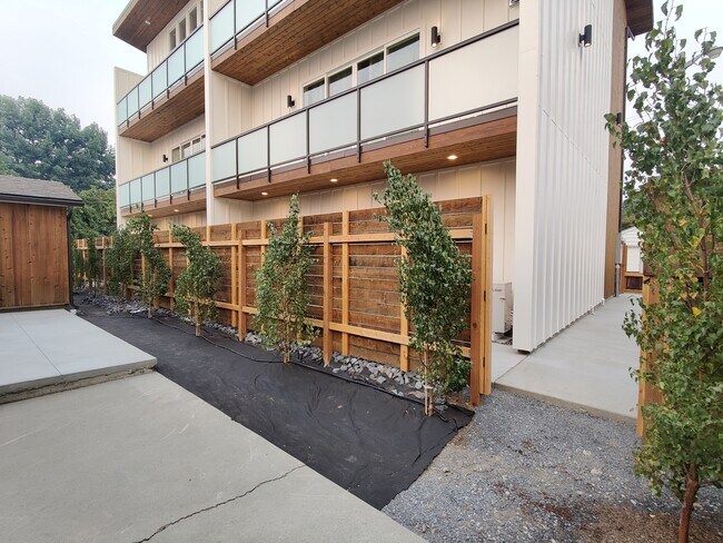 Backyard - 823 Orondo Ave