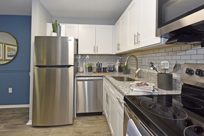 Stainless Appliances + Modern Cabinetry